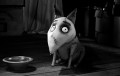 Frankenweenie, la obra maestra de Tim Burton, gran estreno en Disney Cinemagic