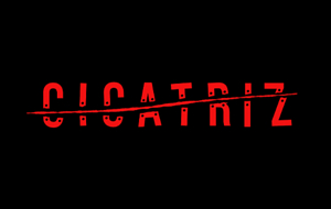 RTVE y Prime Video anuncian Cicatriz, serie basada en la novela del autor español de thriller más leído del mundo