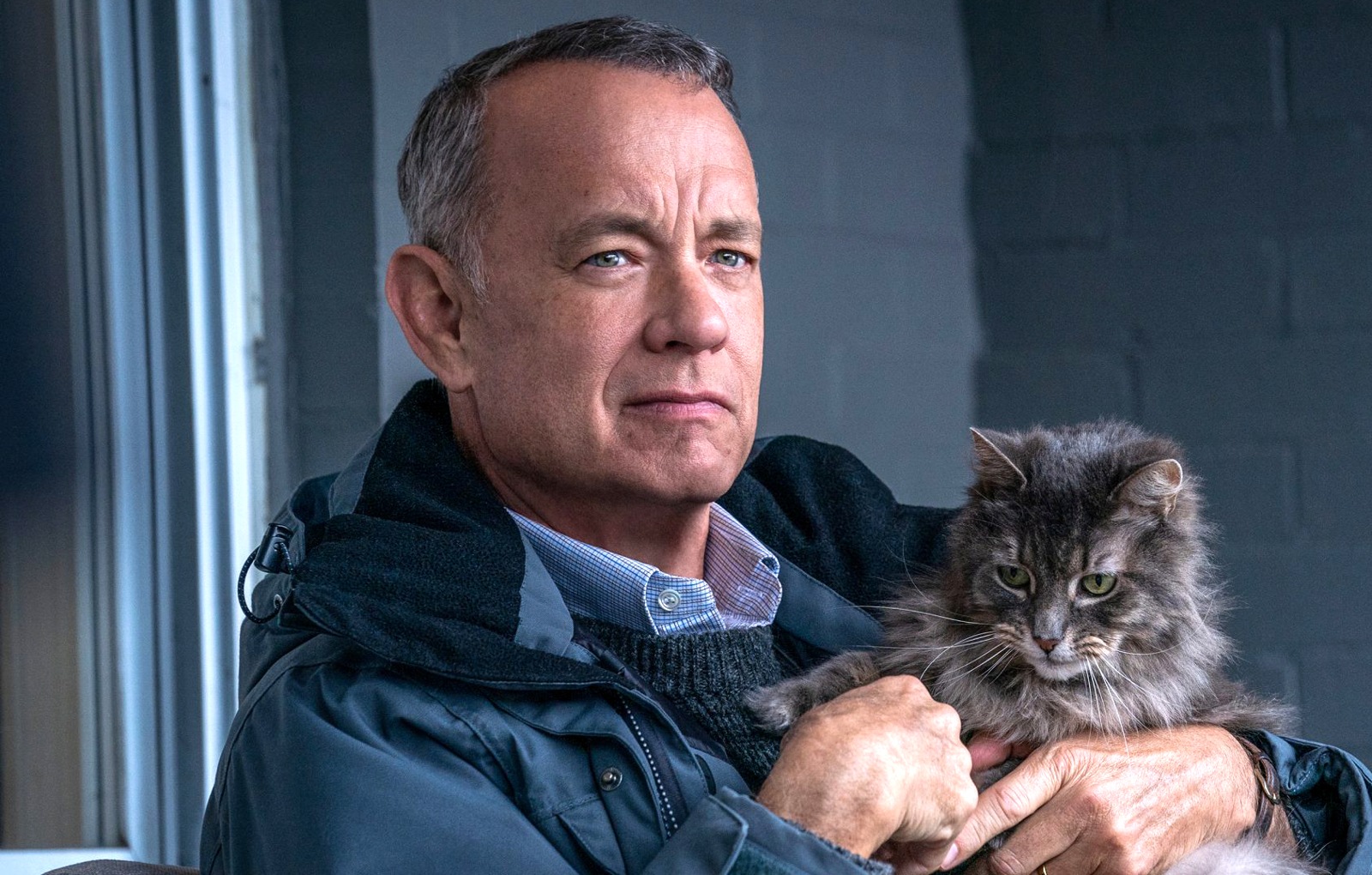 El peor vecino del mundo, una comedia emotiva e inspiradora con Tom Hanks disponible desde este viernes 21 de julio en Movistar Plus+