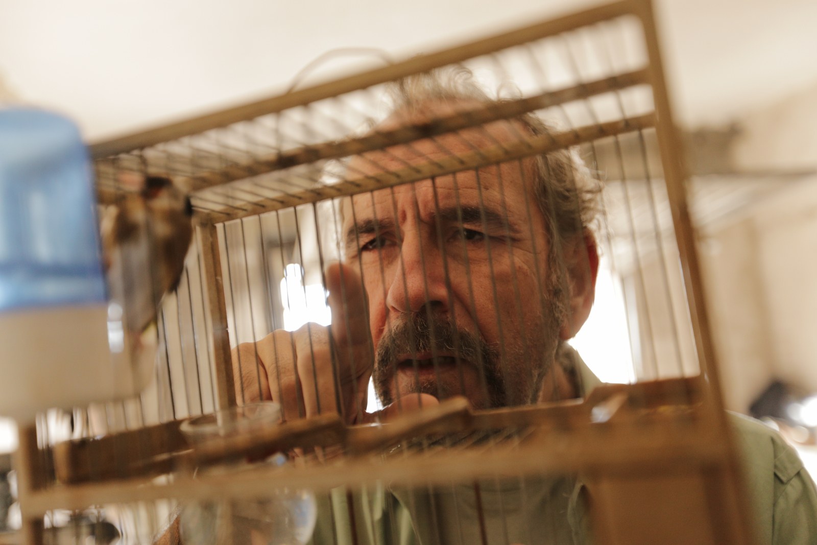 El personaje de Teodoro en Romancero está interpretado por Guillermo Toledo