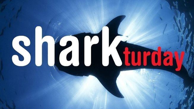 La cadena Cuatro emitirá el sábado un maratón de películas de tiburones