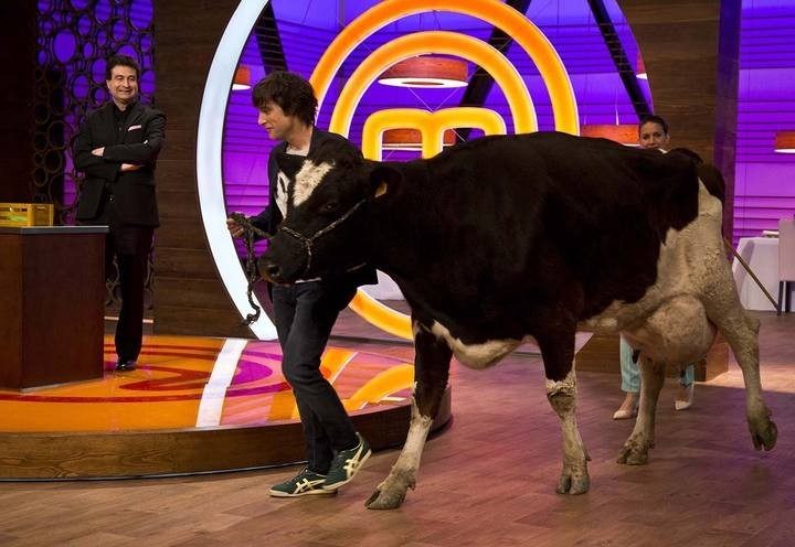 Jordi Cruz con la vaca Margarita en el plató de MasterChef